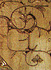 dg_sz5.jpg (8896 bytes)
