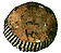 dg_sz7.JPG (9905 bytes)